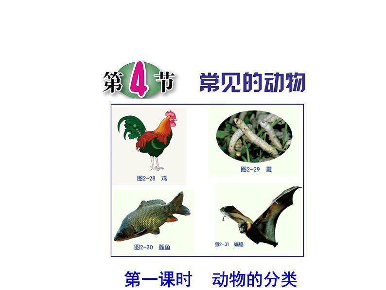 浙教版科学 七年级上册 第2章 第4节 常见的动物(第1课时) 课件01