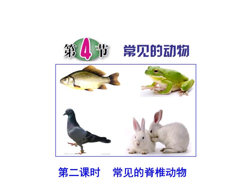 浙教版科学 七年级上册 第2章 第4节 常见的动物（第2课时） 课件01