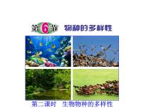 初中科学浙教版七年级上册第6节 物种的多样性背景图课件ppt