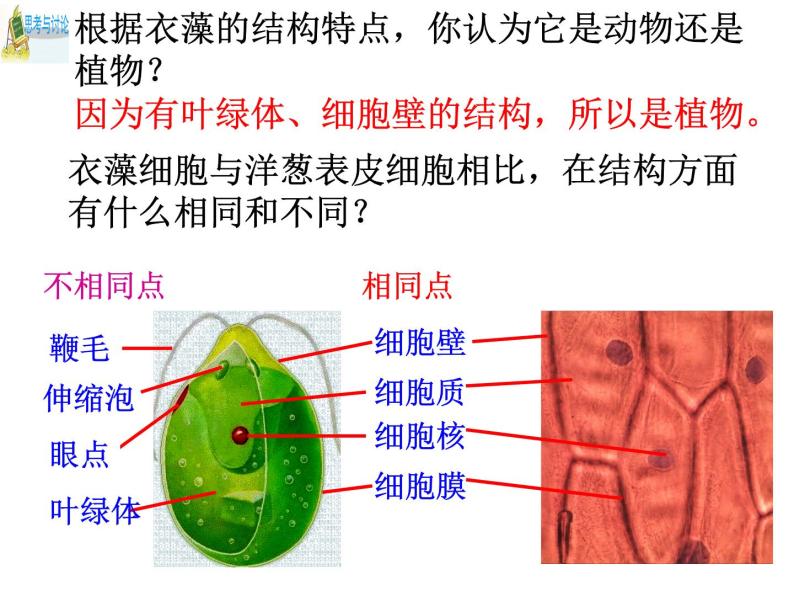 浙教版科学 七年级上册 第2章 第6节 物种的多样性（第1课时） 课件07