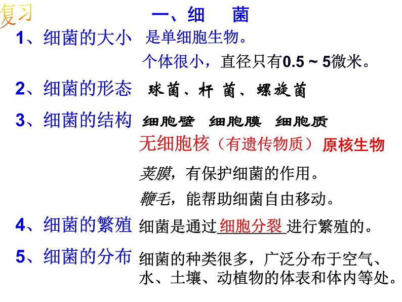 浙教版科学 七年级下册 第1章 第6节 细菌和真菌的繁殖(第2课时) 课件03