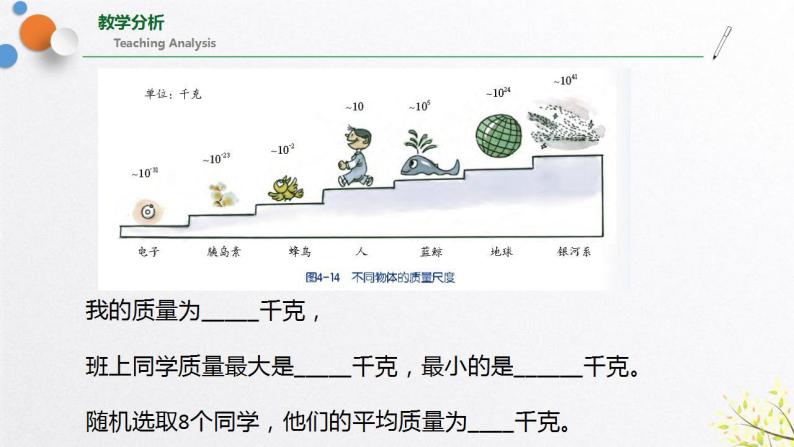 浙教版七上科学4.2质量的测量 课件06