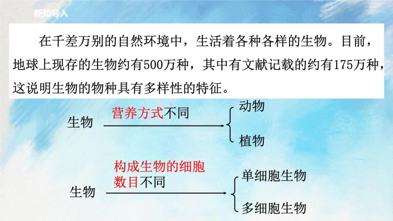 浙教版7上科学 2.6 物种的多样性 课件02