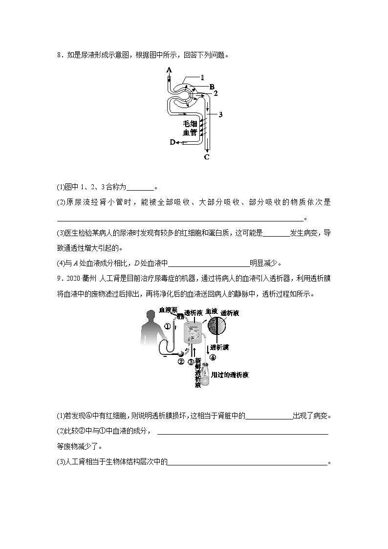 浙教版科学九年级上册同步提优训练:4.5 体内物质的动态平衡 第2课时(含答案)03