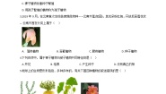 初中华师大版2 植物的主要类群当堂达标检测题