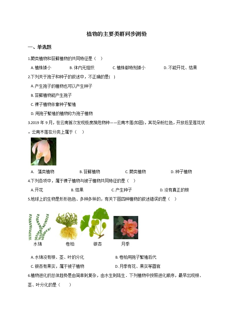 华东师大版七上科学 2.2植物的主要类群 同步训练+答案01