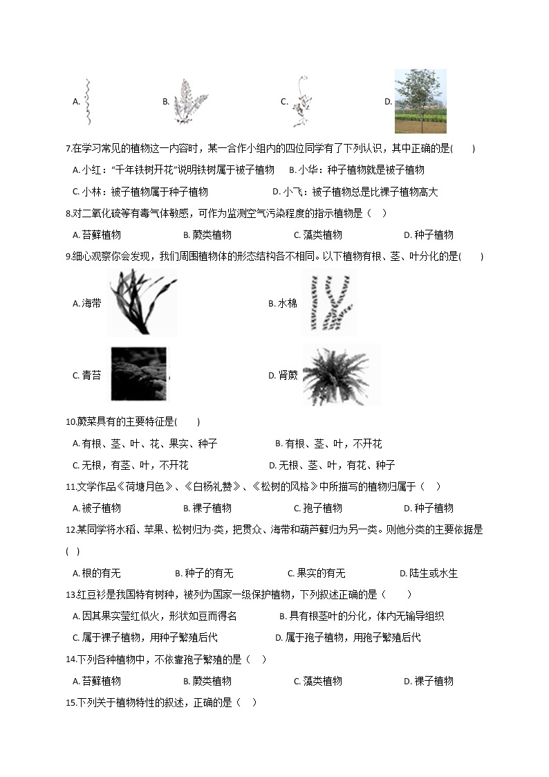华东师大版七上科学 2.2植物的主要类群 同步训练+答案02