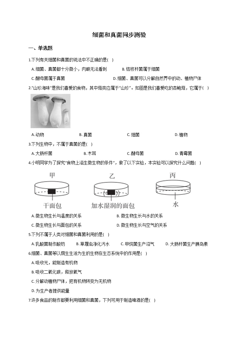 华师大版3 细菌和真菌习题