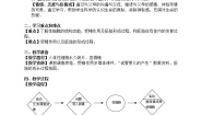 初中科学牛津上海版六年级上册生命的诞生与成长第3课时教学设计
