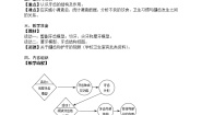 牛津上海版七年级上册第10章 	健康的身体营养与健康食物的消化教案