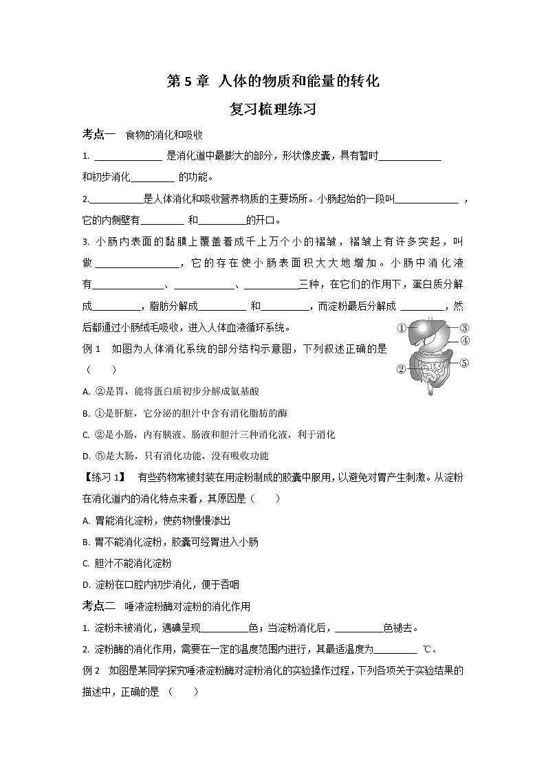 华东师大版科学八年级上册 第5章 人体的物质和能量的转化 复习梳理练习(含答案)第1页
