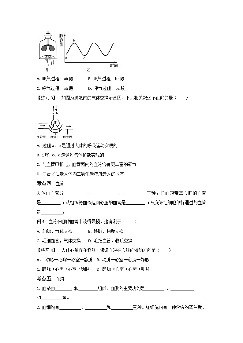 华东师大版科学八年级上册 第5章 人体的物质和能量的转化 复习梳理练习(含答案)第3页