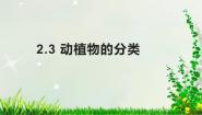 初中科学牛津上海版六年级上册动植物的分类教课课件ppt