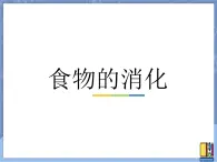 牛津上海版科学七年级上册 10.2.2食物的消化 课件PPT