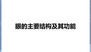 牛津上海版七年级上册眼的主要结构及其功能图文课件ppt