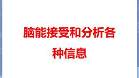 2021学年脑能接受和分析各种信息多媒体教学课件ppt