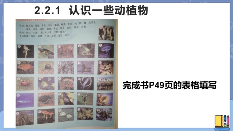 牛津上海版六上科学 2.2生物的多样性 课件PPT02