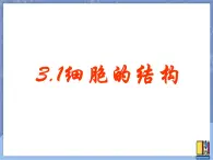 牛津上海版六上科学 3.2显微镜——细胞的结构 课件PPT