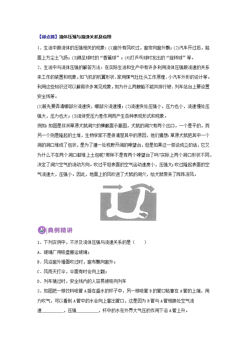 华师大版八年级科学上册 4 流体的压强与流速关系 同步训练 (原卷+ 解析卷)02