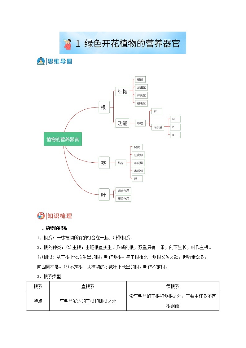 华师大版八年级科学上册 1 绿色开花植物的营养器官 同步训练 (原卷+ 解析卷)01