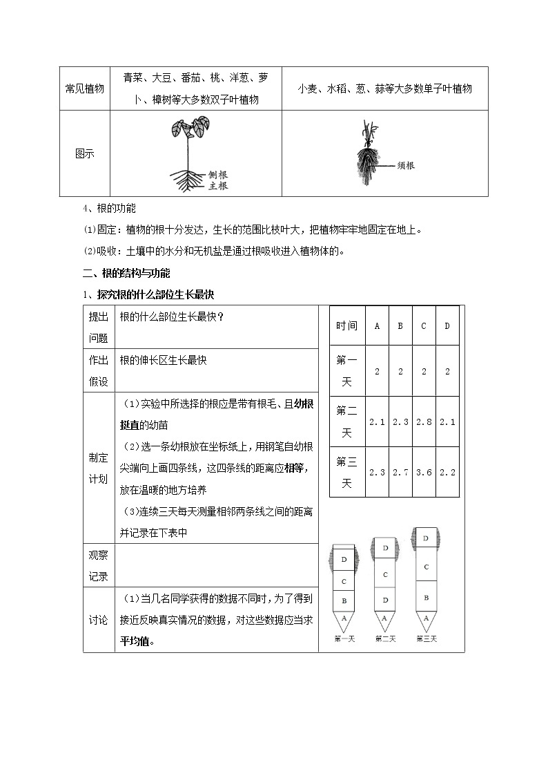 华师大版八年级科学上册 1 绿色开花植物的营养器官 同步训练 (原卷+ 解析卷)02