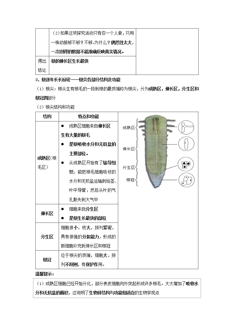 华师大版八年级科学上册 1 绿色开花植物的营养器官 同步训练 (原卷+ 解析卷)03