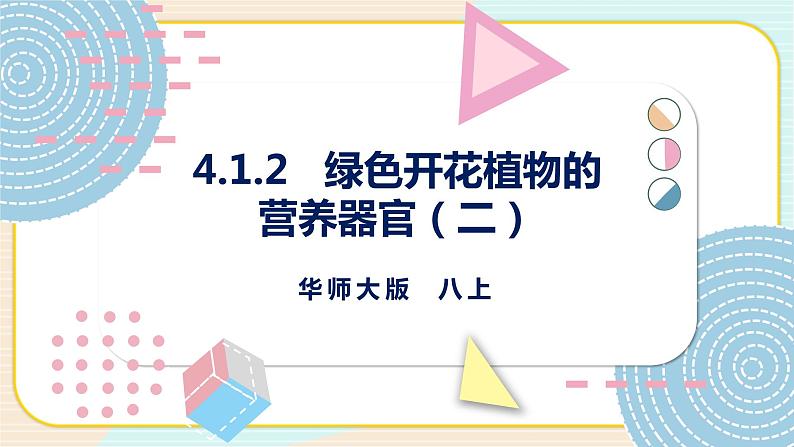 华师大版科学八上 4.1.2 绿色开花植物的营养器官(二) 课件PPT+视频01