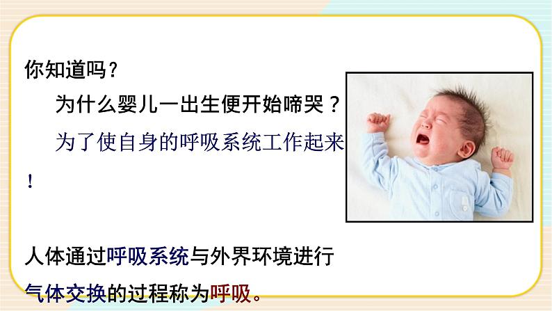 华师大版科学八上 5.2 人体的呼吸 课件PPT+视频02