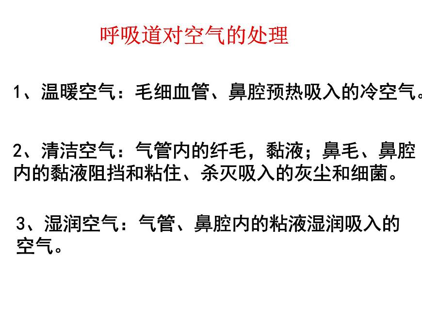 人體的呼吸復(fù)習(xí)課件第5頁
