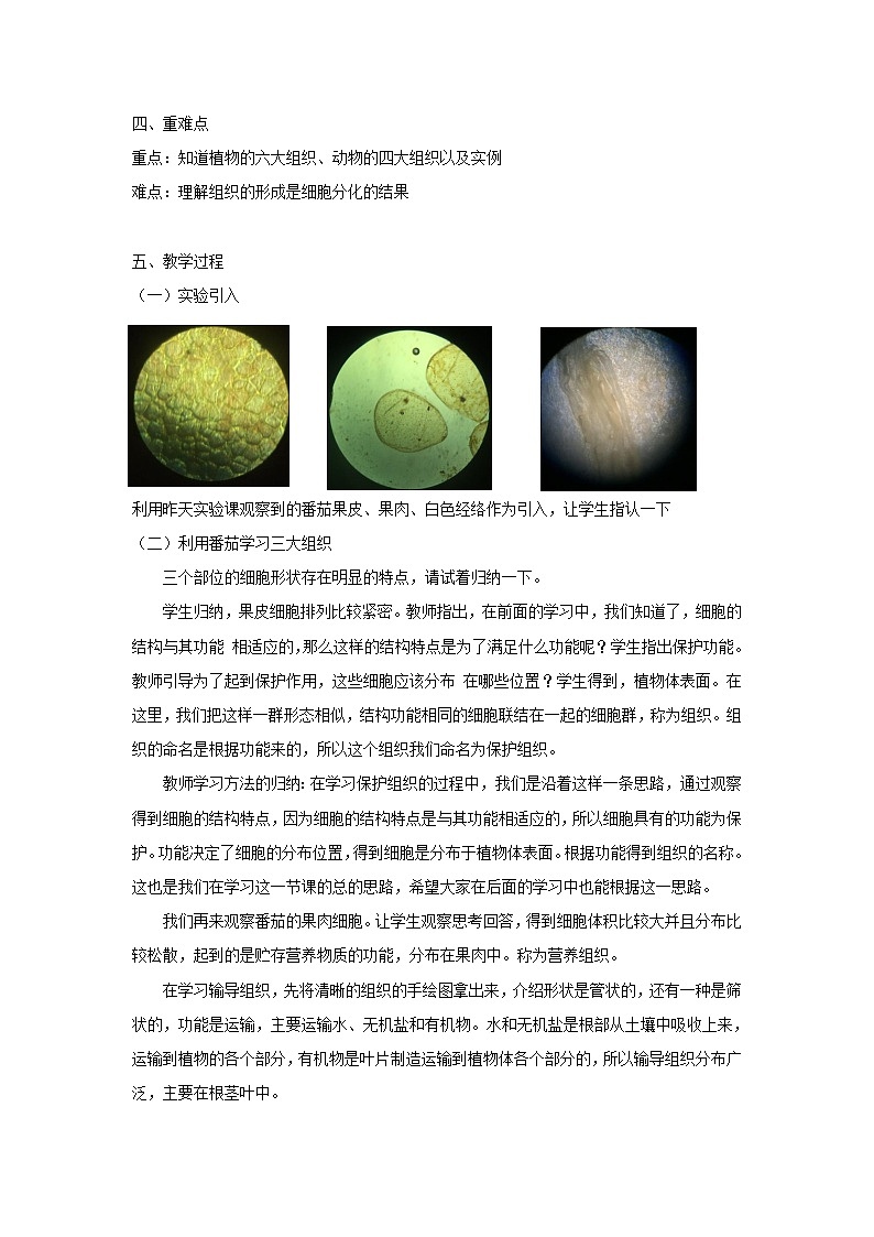 华师大版科学七年级上册 4.3组织、器官和系统 教案02