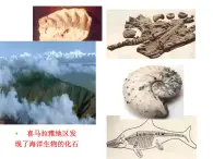 华师大版科学七年级上册 6.2海陆的变迁 课件