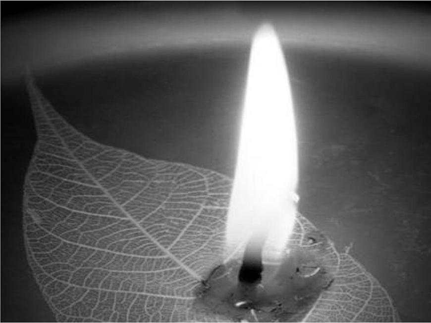 華師大版科學(xué)七年級(jí)上冊(cè) 6.1火山與地震 課件第2頁
