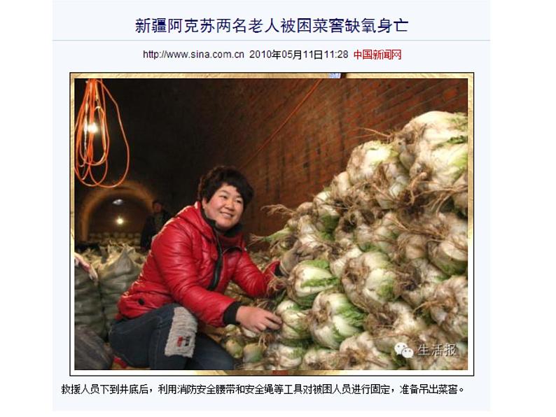 华中师大版八上科学 4.4植物的光合作用和呼吸作用 课件第2页