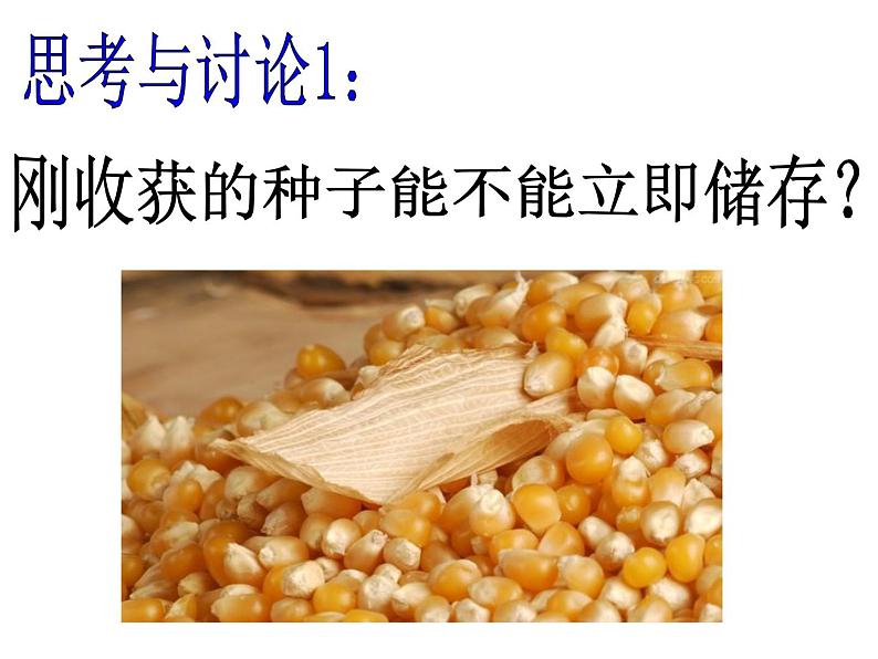 华中师大版八上科学 4.4植物的光合作用和呼吸作用 课件第5页