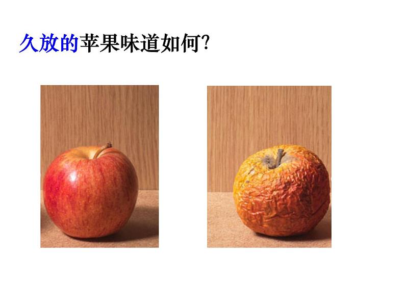 华中师大版八上科学 4.4植物的光合作用和呼吸作用 课件第8页