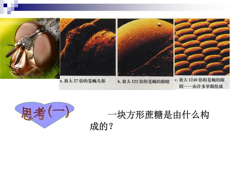 华中师大版八上科学 6.1构成物质的微粒 课件02