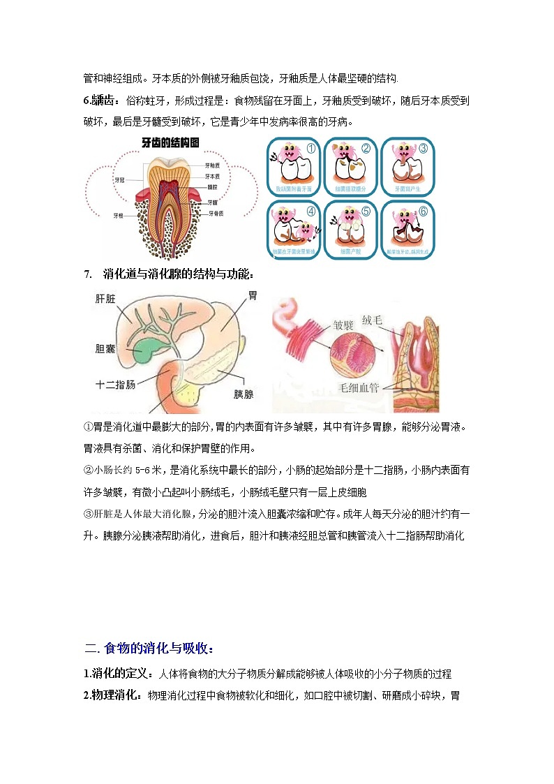 3.2食物的消化與吸收（講義）（原卷版）第2頁