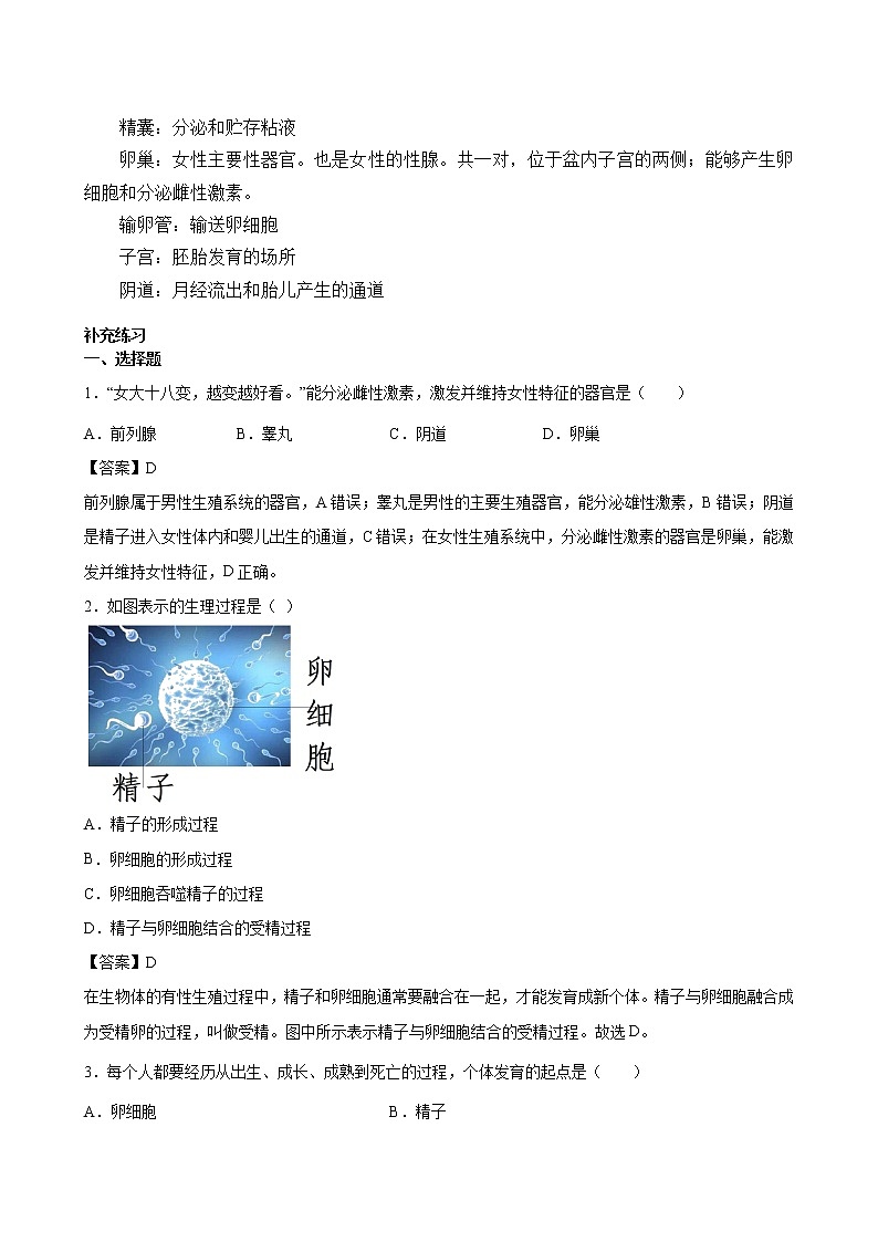 新生命的诞生 第一课时 教案02
