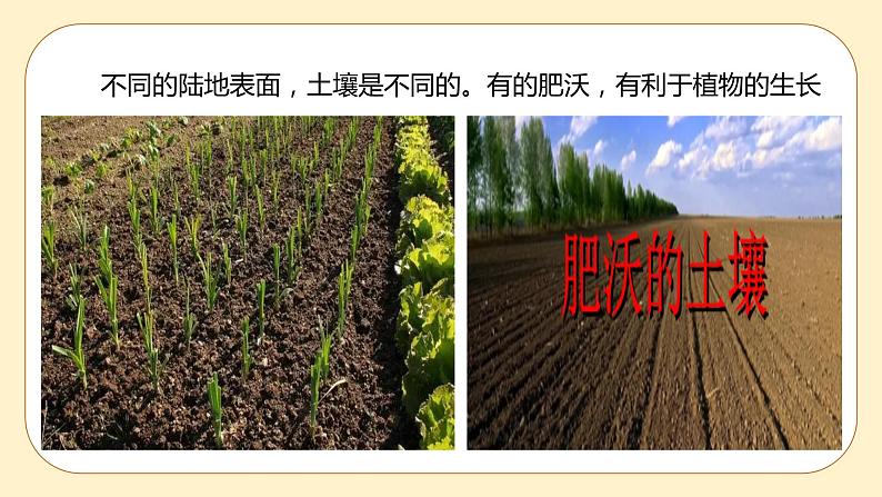 4.2 各种各样的土壤 课件第2页