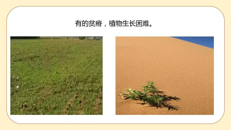 4.2 各种各样的土壤 课件第3页