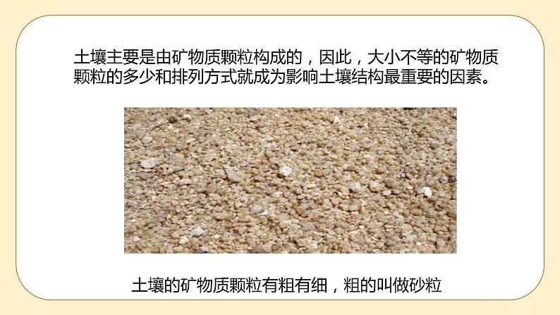 4.2 各种各样的土壤 课件第4页