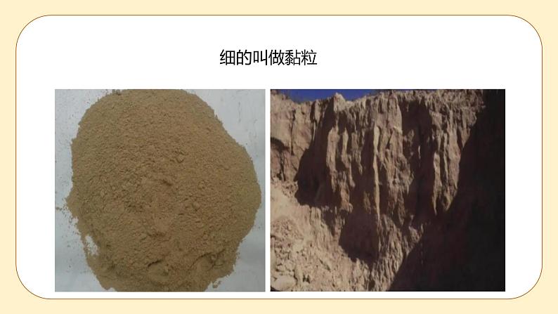 4.2 各种各样的土壤 课件第5页
