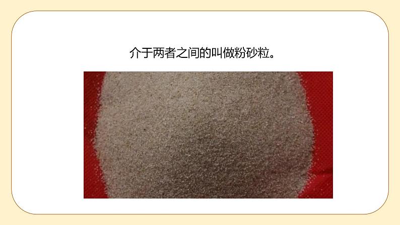 4.2 各种各样的土壤 课件第6页