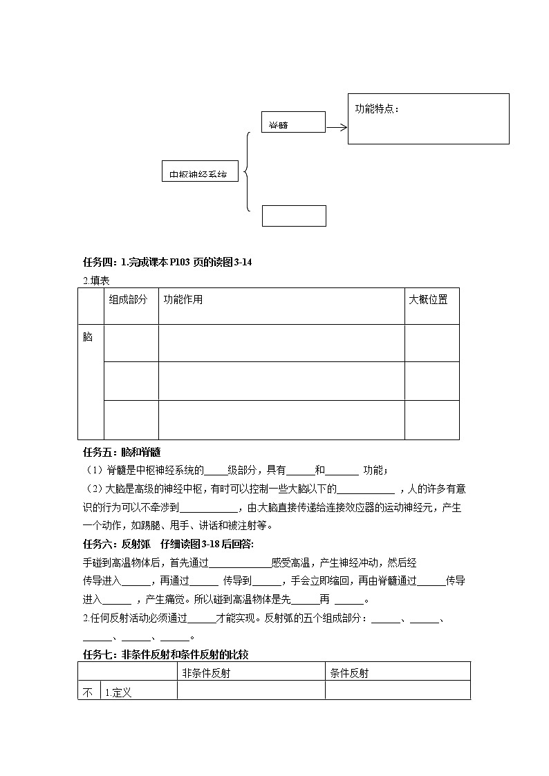 2022年浙教版八年级上册《3.3神经调节》学案02