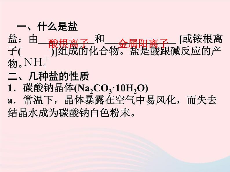 2022—2023学年新版浙教版九年级科学上册第1章物质及其变化1.6几种重要的盐(课件+提优手册)02
