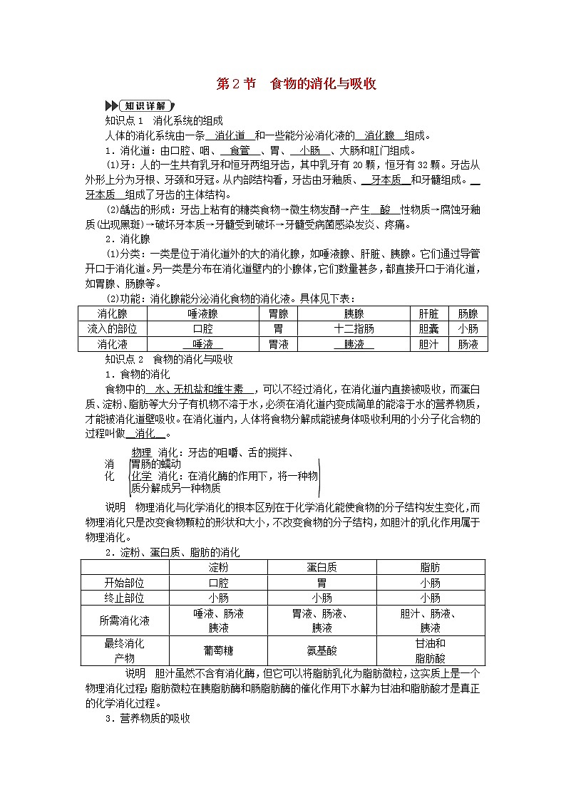 2022—2023学年新版浙教版九年级科学上册第4章代谢与平衡4.2食物的消化与吸收(课件+提优手册)01