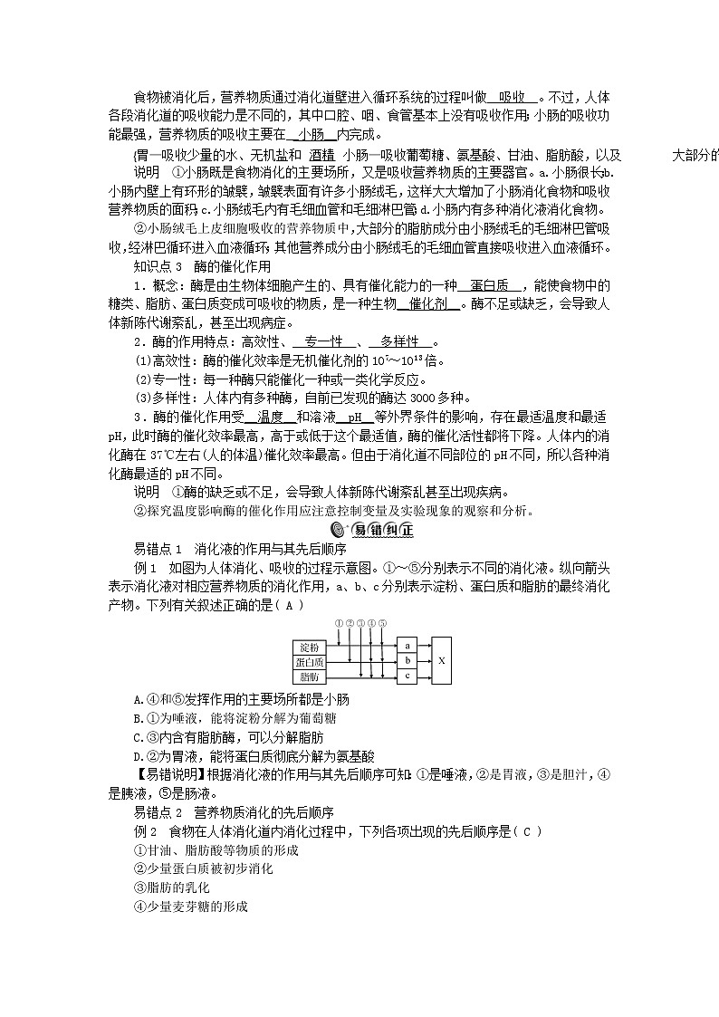2022—2023学年新版浙教版九年级科学上册第4章代谢与平衡4.2食物的消化与吸收(课件+提优手册)02