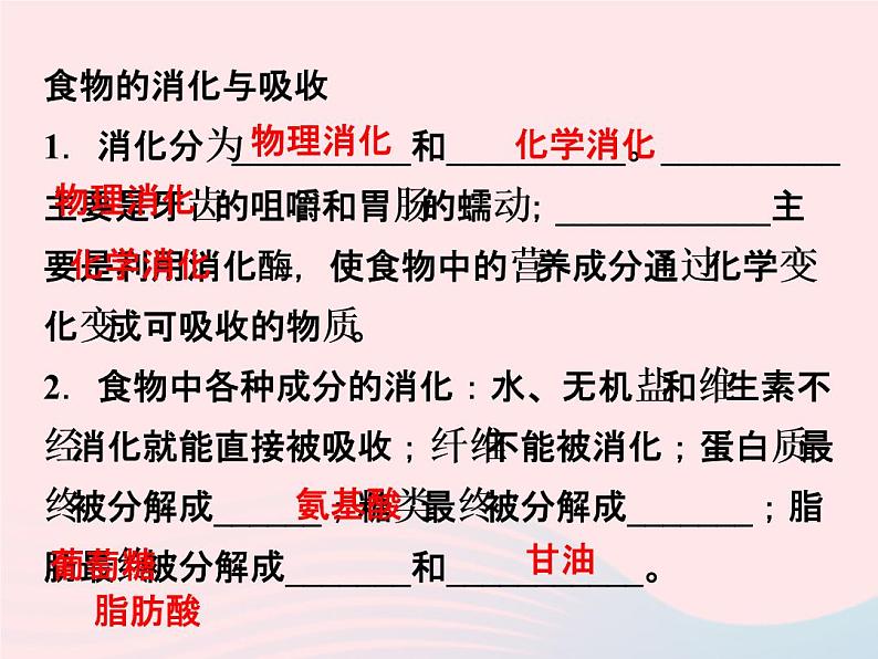 2022—2023学年新版浙教版九年级科学上册第4章代谢与平衡4.2食物的消化与吸收(课件+提优手册)02