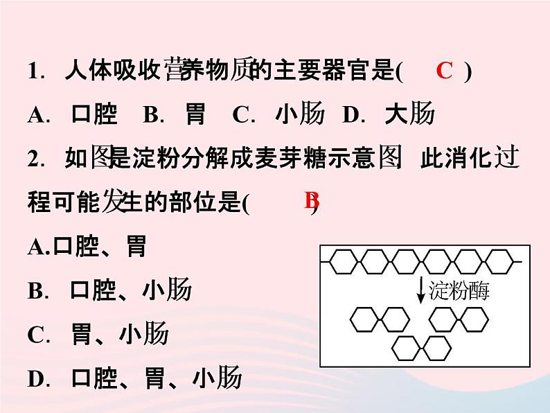 2022—2023学年新版浙教版九年级科学上册第4章代谢与平衡4.2食物的消化与吸收(课件+提优手册)04