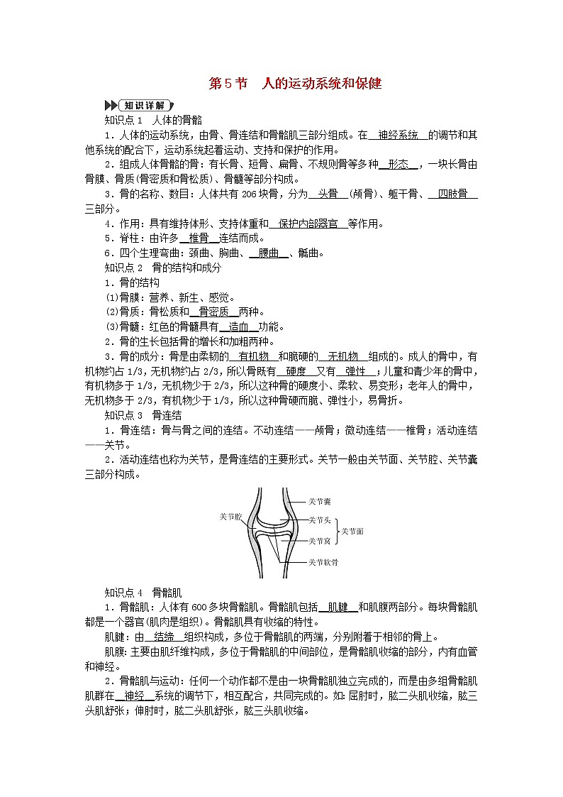 2021—2022学年新版浙教版九年级科学下册第3章人的降3.5人的运动系统和保健提优手册新版浙教版第1页